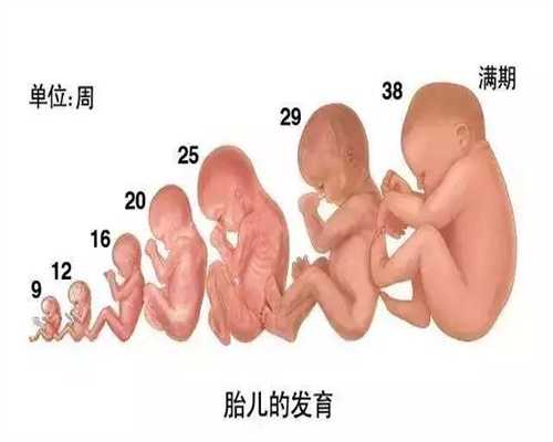 哪里有美女代孕_孕妇怀孕初期体温多少