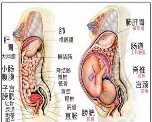 武汉代孕在哪里_上海代怀孕安全吗_代孕添禧代孕