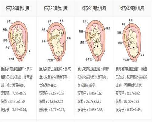 武汉代孕微信_成都有代怀孕价格_80年代怀孕病历
