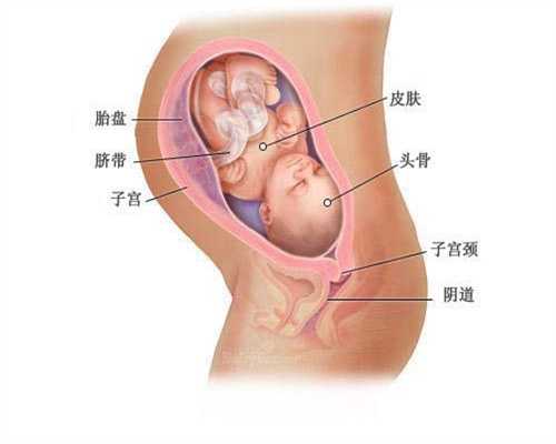 武汉代孕机构_济南代孕手术需多少钱_济南代孕信息网