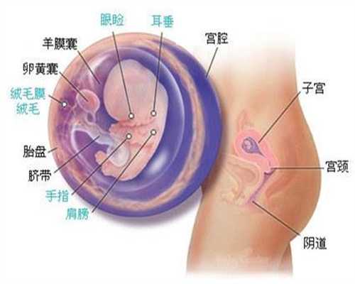 武汉代孕公司_山东代孕一个小孩多少钱_山东市代孕服务