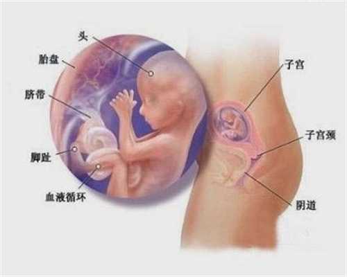武汉代孕一对一咨询_世纪代怀孕靠谱吗_代孕的手术费用