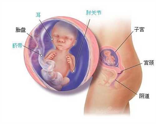 武汉代孕中心_济南代孕网的优质_济南供卵代孕流程