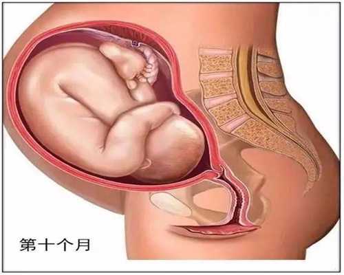 武汉代孕在哪里_山东代孕2年内抱孩子_山东2020代孕网站